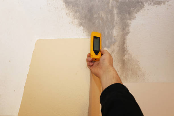 Best HVAC Mold Inspection and Cleaning  in Aspermont, TX