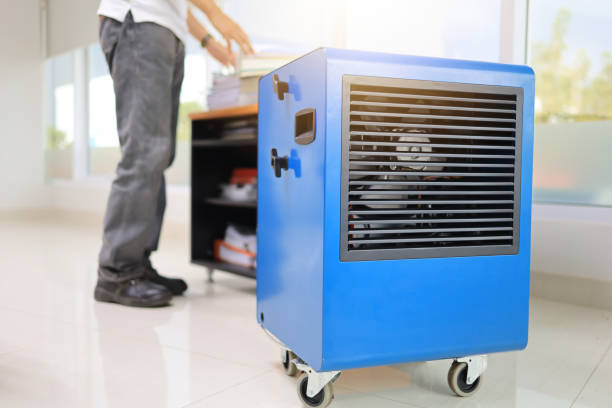 Best Mold-Related Health Consultation  in Aspermont, TX