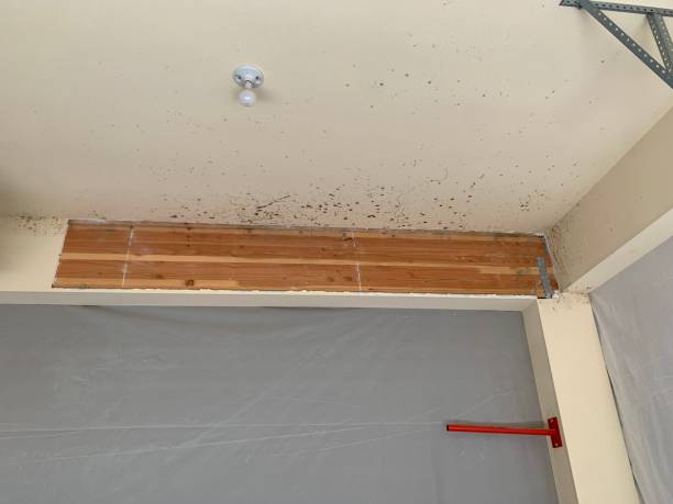 Dehumidification Services in Aspermont, TX